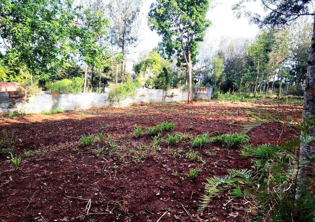 Quarter Acre Plot in Kerarapon