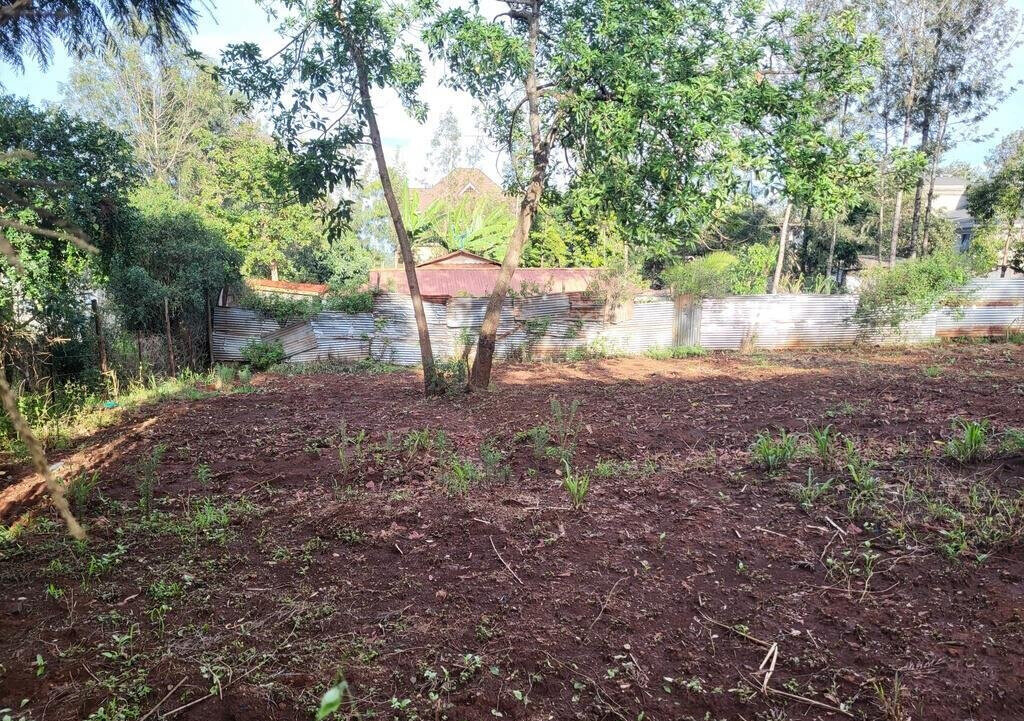 Quarter Acre Plot in Kerarapon