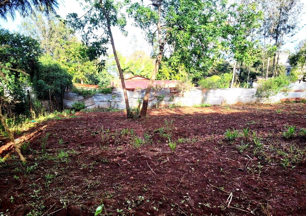 Quarter Acre Plot in Kerarapon