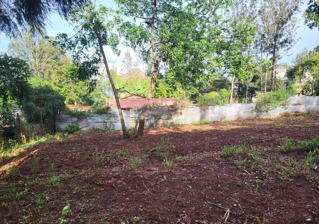 Quarter Acre Plot in Kerarapon