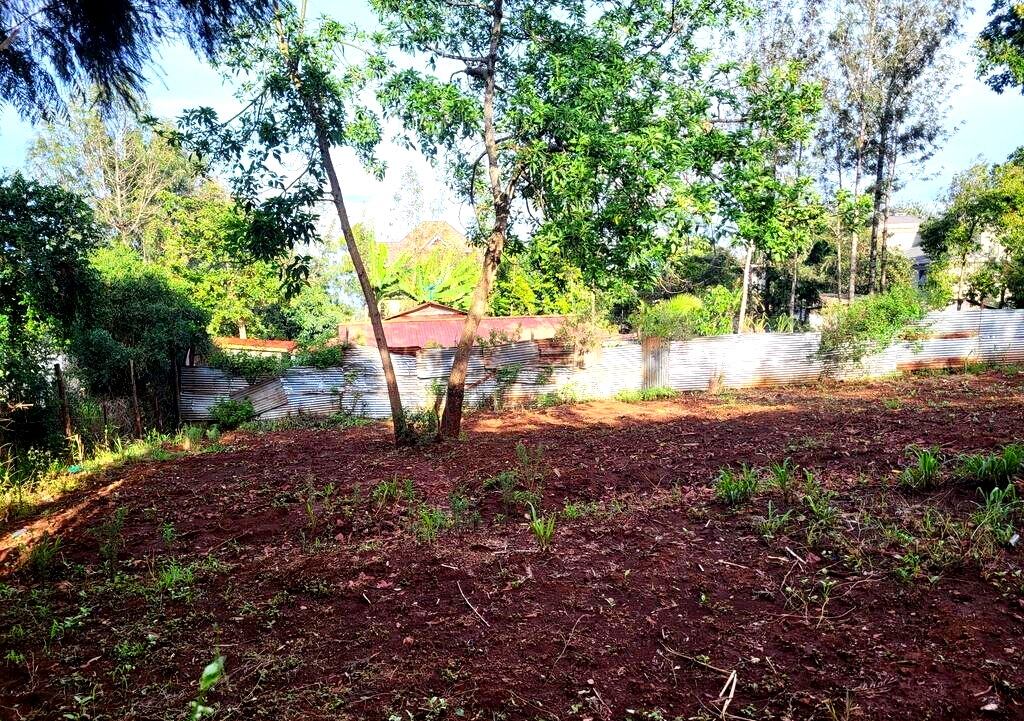 Quarter Acre Plot in Kerarapon