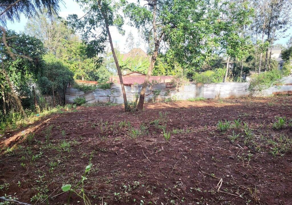 Quarter Acre Plot in Kerarapon