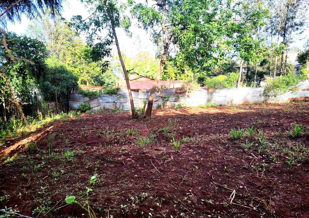 Quarter Acre Plot in Kerarapon