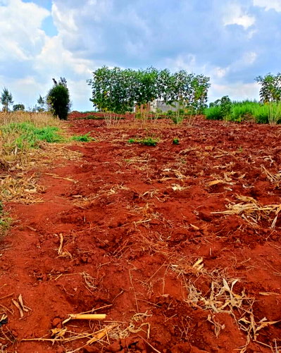 KSh 1.6M Plot in Thika