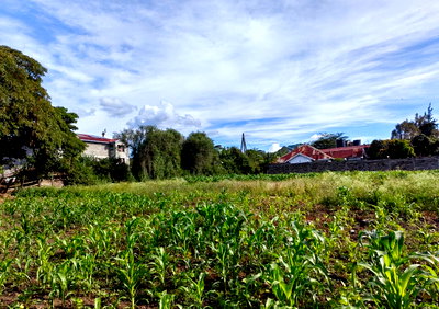 Garden Plot with Parking for KSh 16M