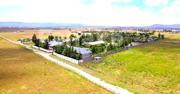 50*100 With Ready Title Deeds in Joska