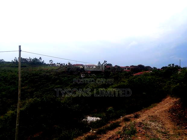 6.2 Ac Land for Sale in Riat