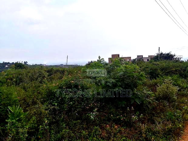 6.2 Ac Land for Sale in Riat