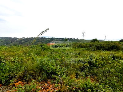 6.2 Ac Land for Sale in Riat - Image 1