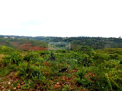 6.2 Ac Land for Sale in Riat - Image 6