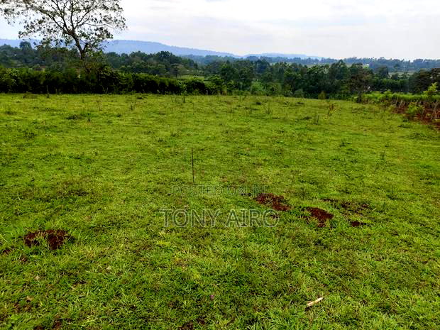 Land on Sale in Rongo Kamagambo