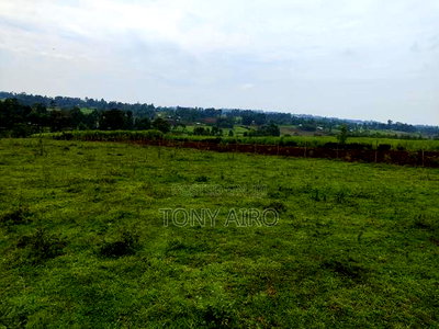 Land on Sale in Rongo Kamagambo - Image 5