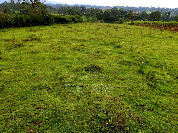 Land on Sale in Rongo Kamagambo