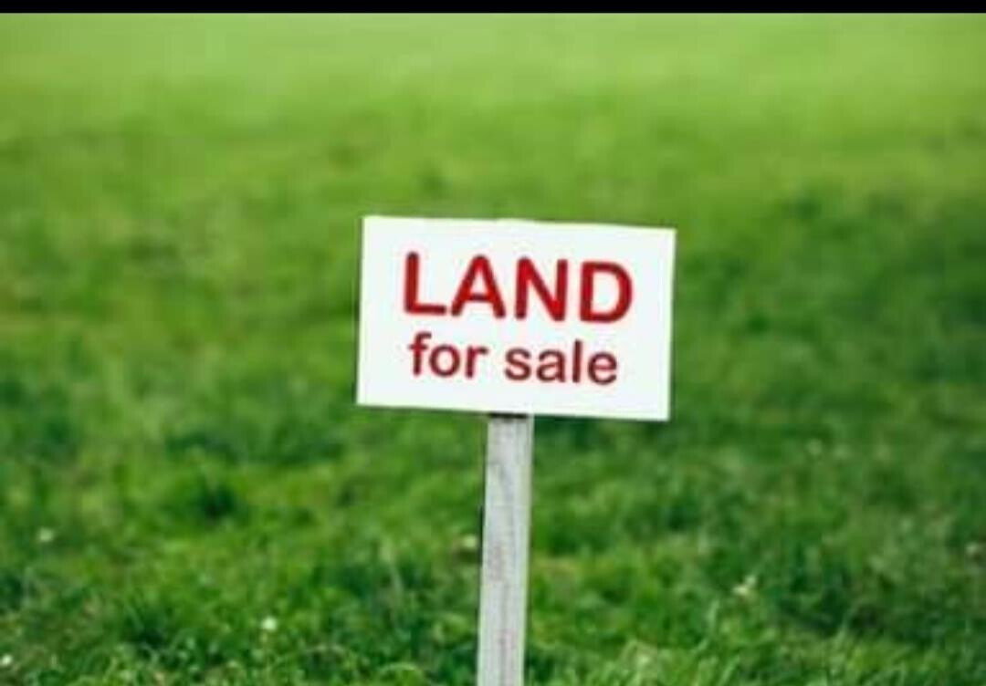 5-Acre Lavington Land at KSh 130M