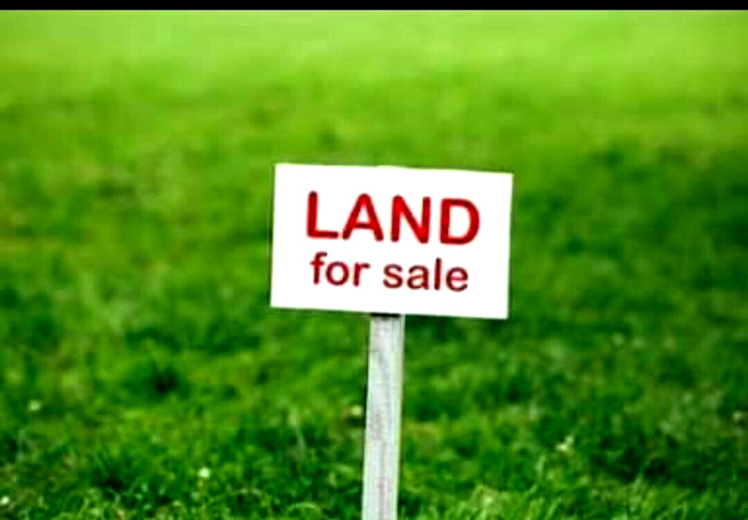 5-Acre Lavington Land at KSh 130M