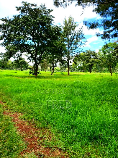 Juja Commerce Plots - Image 6