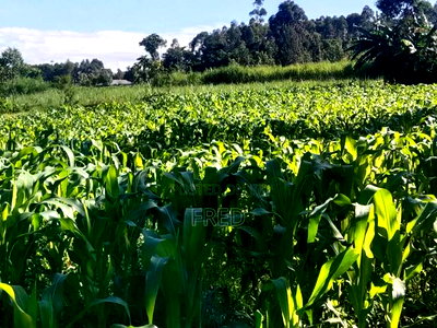 Juja Commerce Plots - Image 5