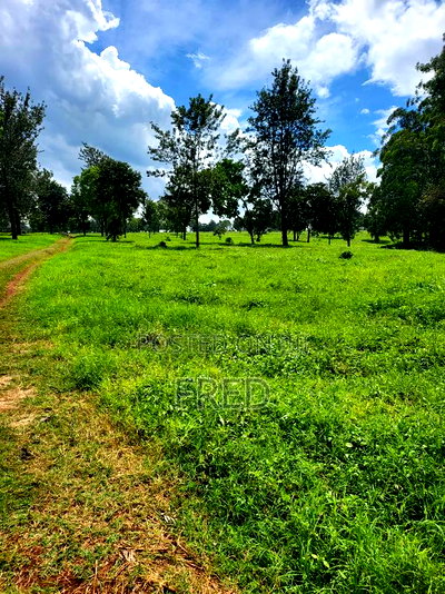 Juja Commerce Plots - Image 8