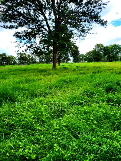 Juja Commerce Plots - Image 7