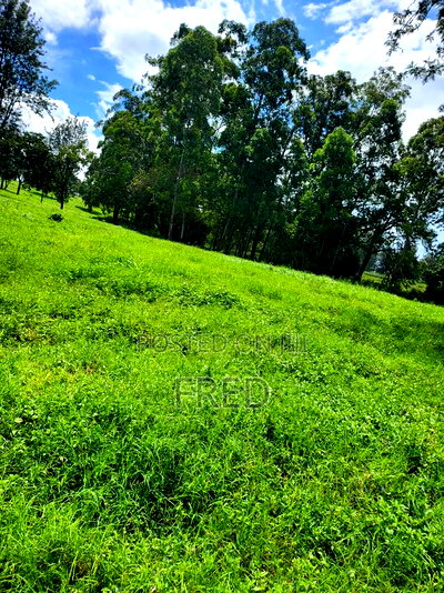 Juja Commerce Plots - Image 4