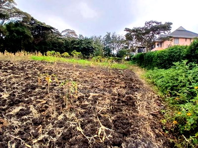 Prime 50 by 100 Plot in Olkeri, Ngong - Image 2