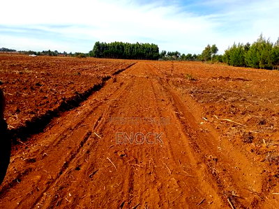 Low Cost Plots in Outspan Kiambaa Eldoret - Image 1