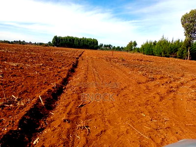 Low Cost Plots in Outspan Kiambaa Eldoret - Image 2