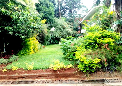3/4 Acre Westlands Plot with Garden
