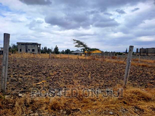 Ploti Malaa,Lipia Polepole , Mw^