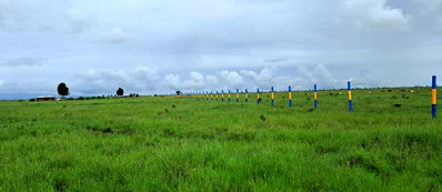 Pet Friendly Plot at KSh 330K