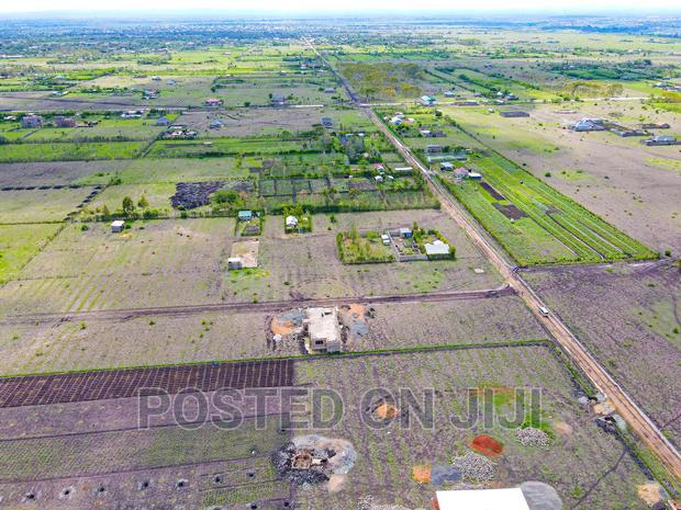 Buy and Build Immediately(Jujafarm)