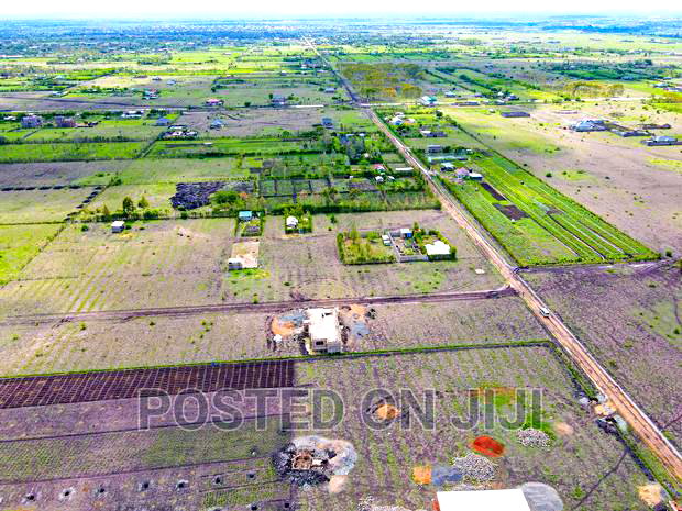 Buy and Build Immediately(Jujafarm)