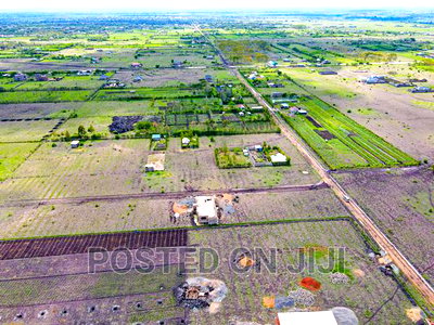 Buy and Build Immediately(Jujafarm) - Image 2