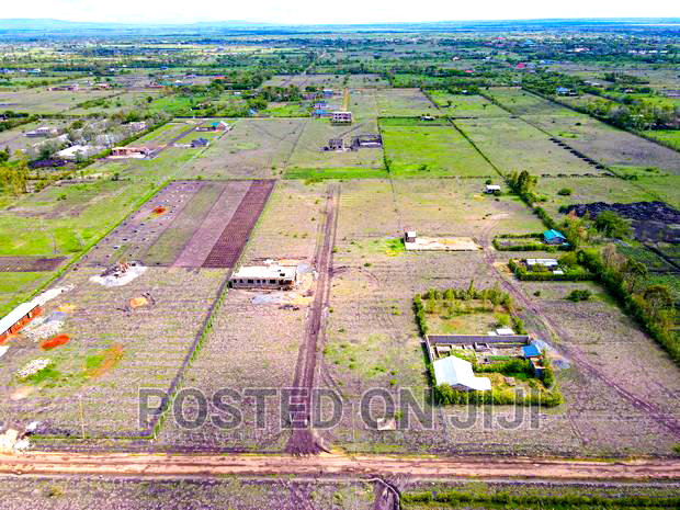 Buy and Build Immediately(Jujafarm)