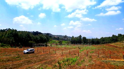 Affordable 50 By100 Plot in Kamangu. - Image 3