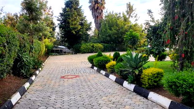 4bdrm Bungalow in Tiriki, Milimani Estate for sale - Image 5