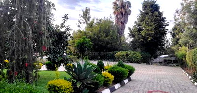 4bdrm Bungalow in Tiriki, Milimani Estate for sale - Image 4