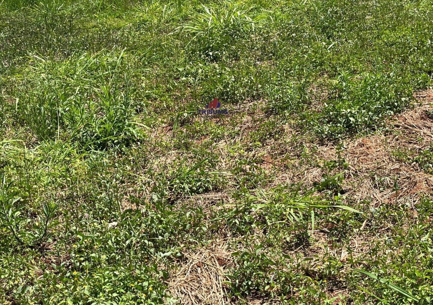 Half Acre Runda Gem at KSh 85M