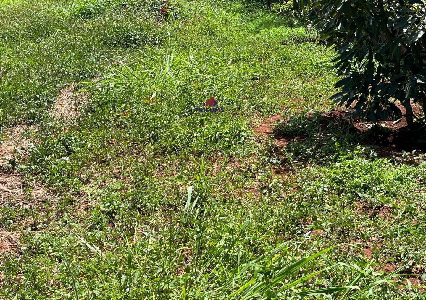 Half Acre Runda Gem at KSh 85M