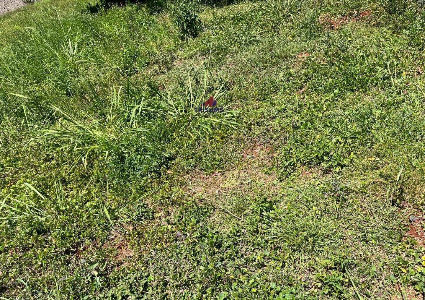 Half Acre Runda Gem at KSh 85M