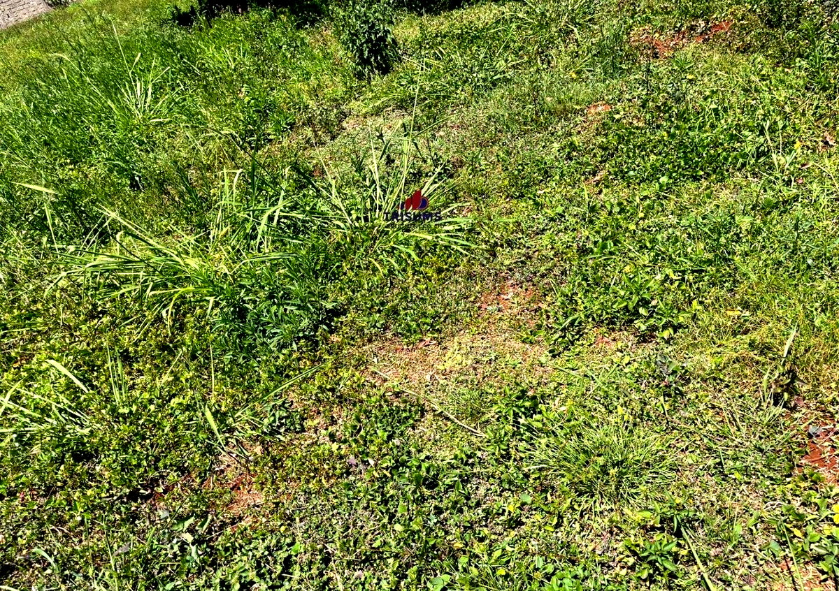 Half Acre Runda Gem at KSh 85M