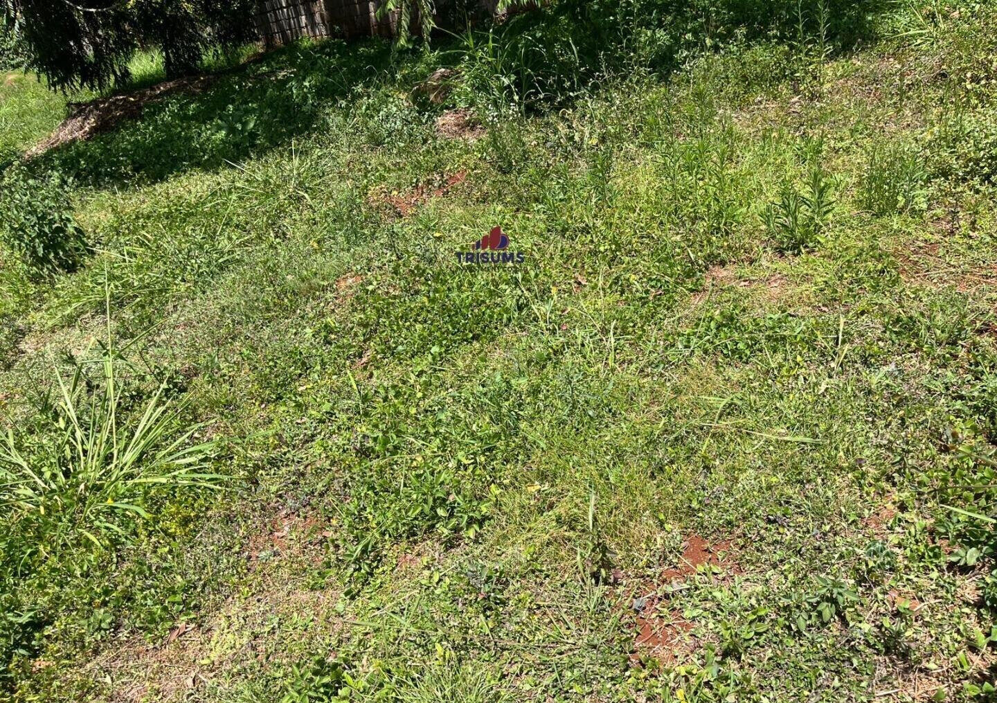 Half Acre Runda Gem at KSh 85M