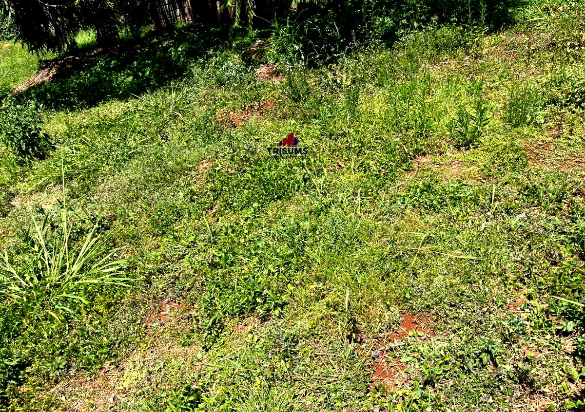 Half Acre Runda Gem at KSh 85M