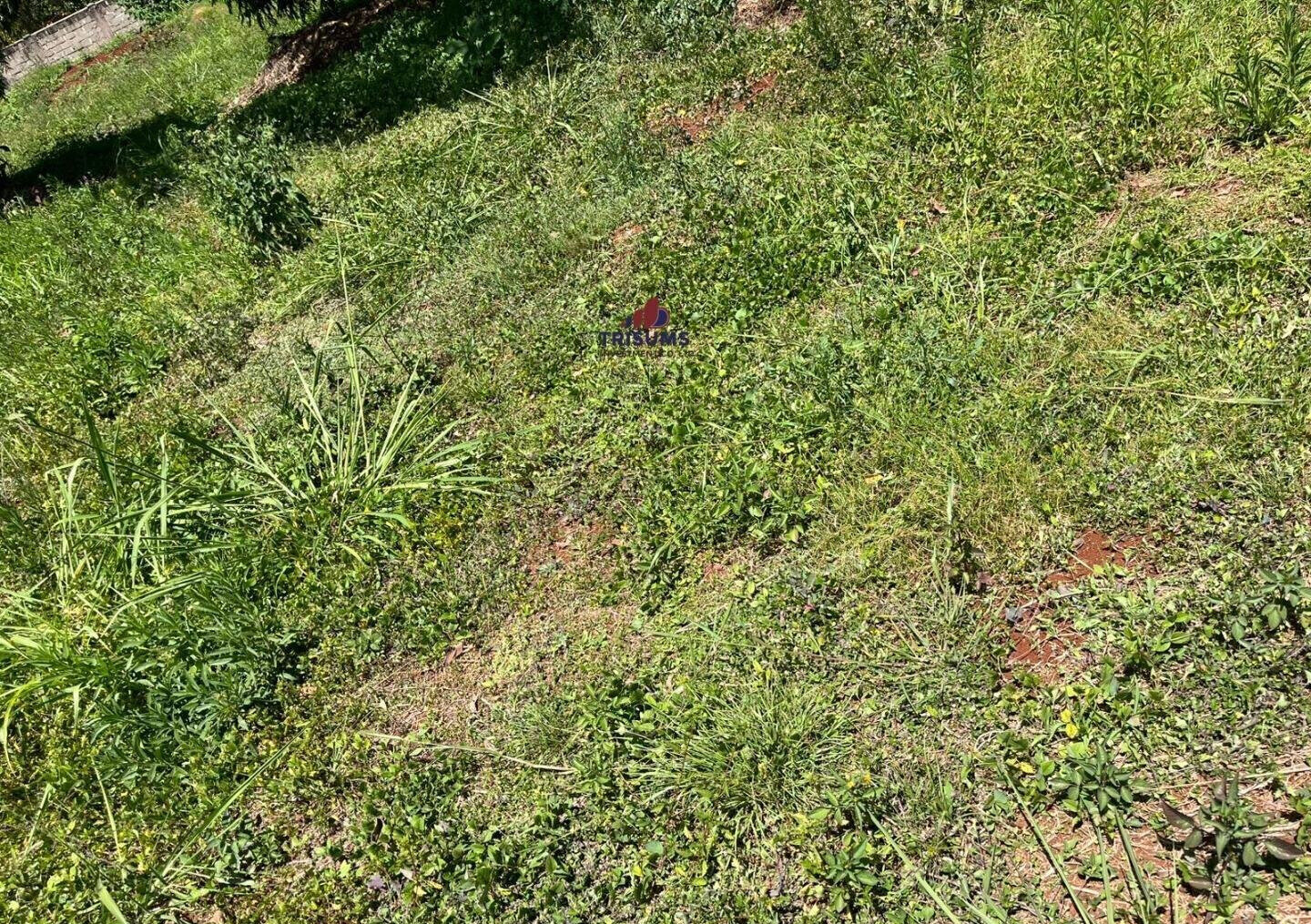 Half Acre Runda Gem at KSh 85M