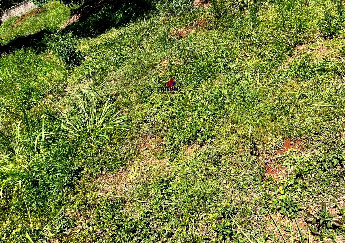 Half Acre Runda Gem at KSh 85M