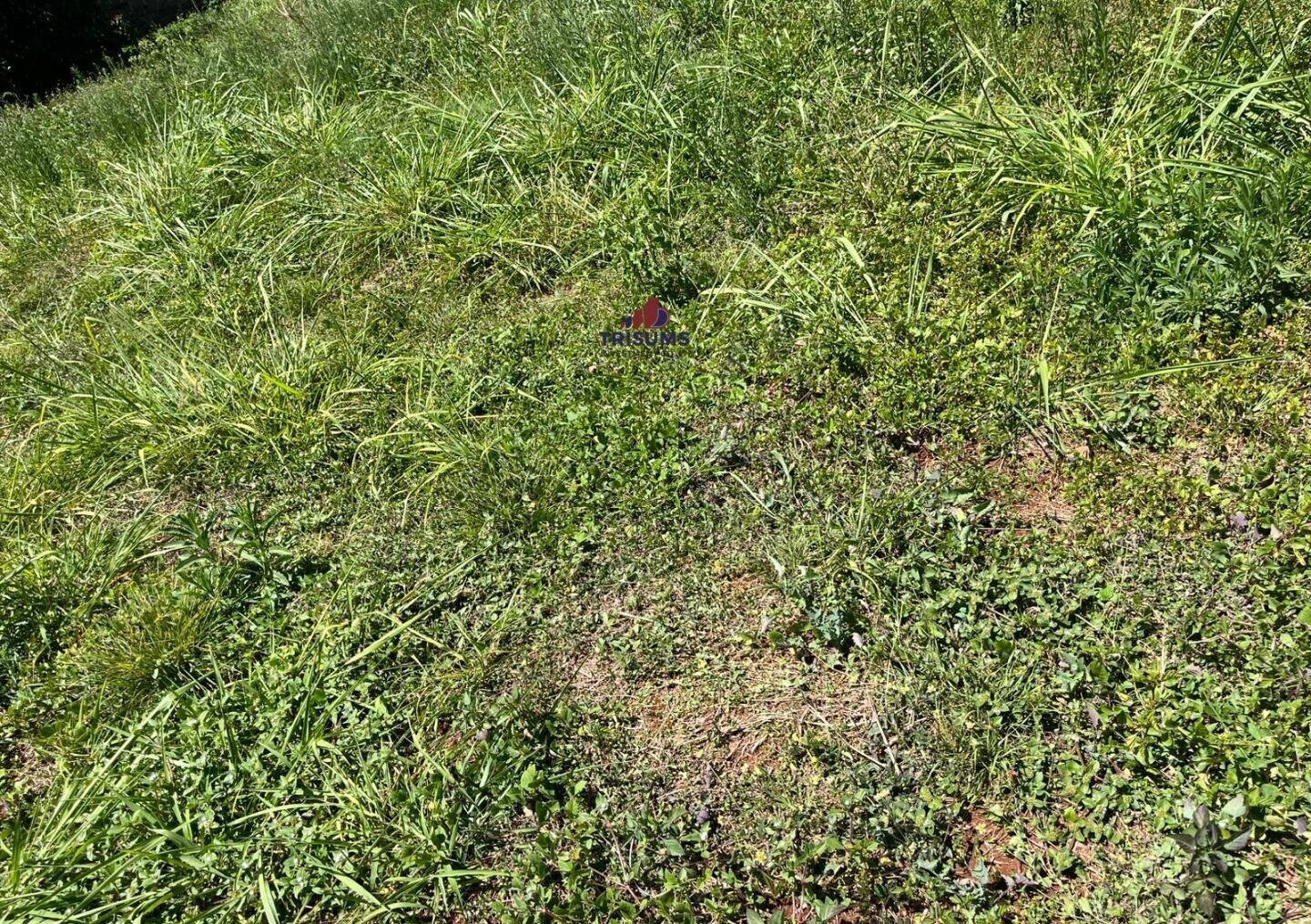 Half Acre Runda Gem at KSh 85M