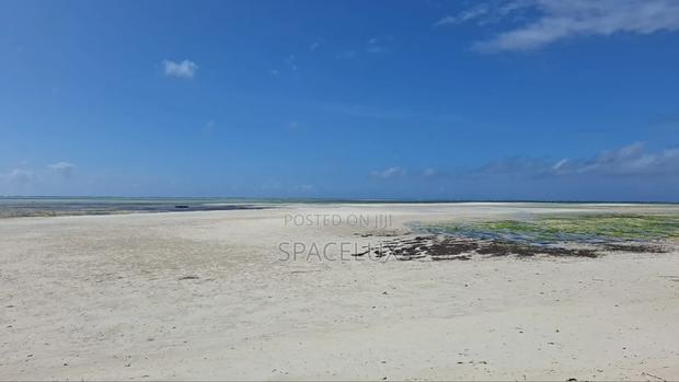 Expansive Beach Plots