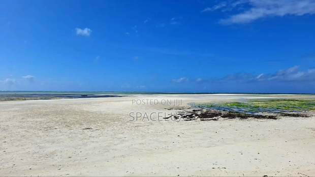 Expansive Beach Plots