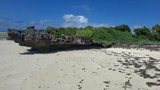 Expansive Beach Plots
