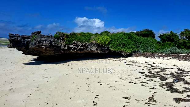 Expansive Beach Plots